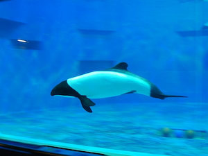 マリンピア松島水族館