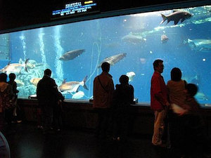 鳥羽水族館