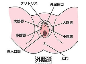 まんこ